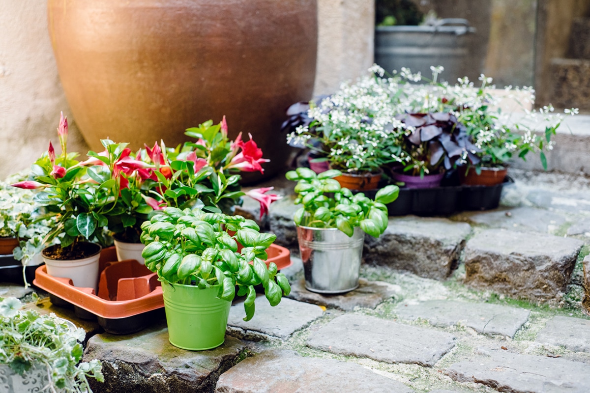 Comme une fleur, décoration florale à Neuchâtel