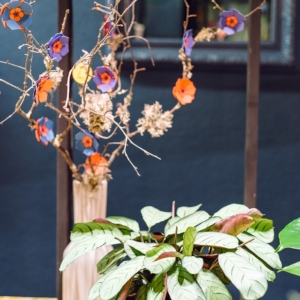 Comme une fleur, décoration florale à Neuchâtel