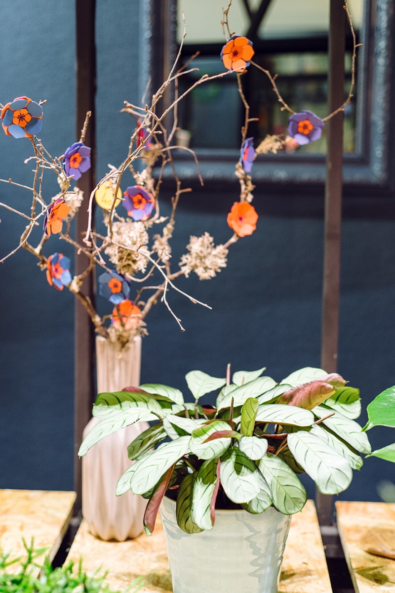 Comme une fleur, décoration florale à Neuchâtel