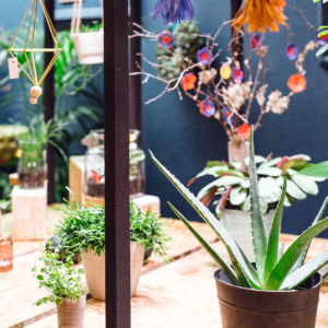 Comme une fleur, décoration florale à Neuchâtel