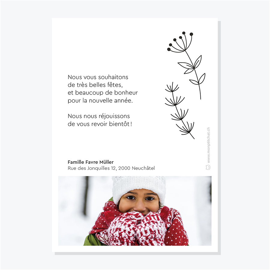 Carte de vœux de fin d'année personnalisable avec 2 photos – Dos avec illustation de décorations de sapin