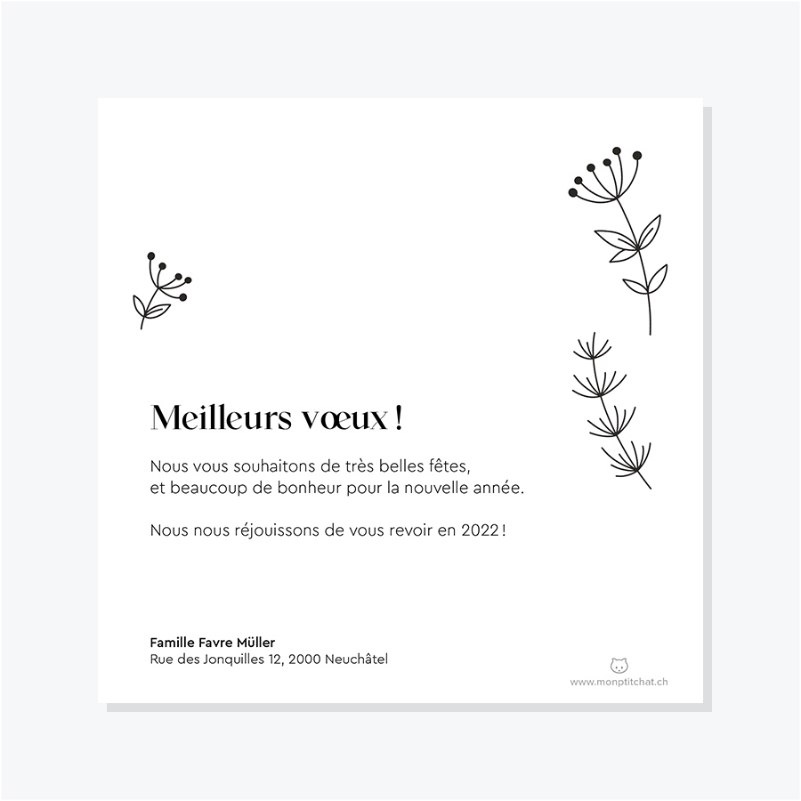 Carte de vœux de fin d'année – Verso avec illustration de végétaux d'hiver